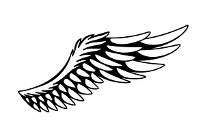 Wings sketch. Stylized birds, an Object Illustration by Things for designers