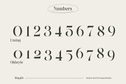 Ringift - A Modern Serif, a Serif Font by Graptail (Thumbnail 10 of 15)