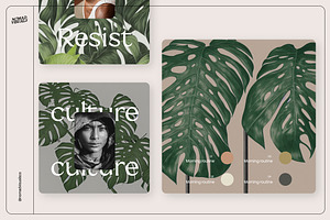 Monstera Tropical Collection