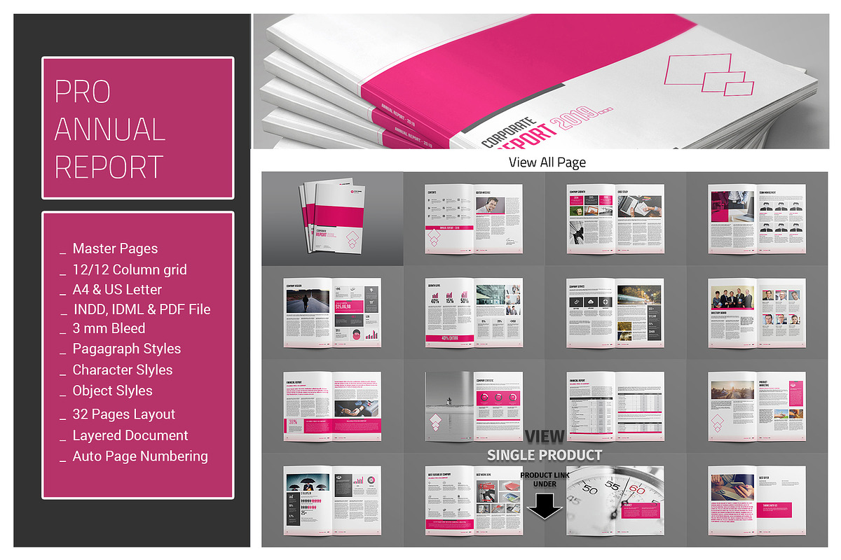 Big Bundle Annual Report-1, a Brochure Template by alimran24 (Photo 2 of 10)