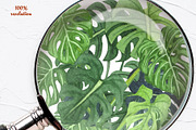 Potted Plants Watercolor clipart, an Object Illustration by BarvArt (Thumbnail 8 of 8)