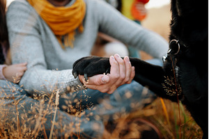 Family took dog on walk in autumn, a Person Photo by HalfPoint