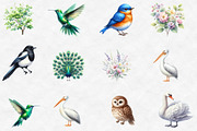 Watercolor Spring Birds Garden Clipa, an Illustration by Designworld (Thumbnail 2 of 7)