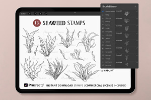 Seaweed Procreate Brush Stamps