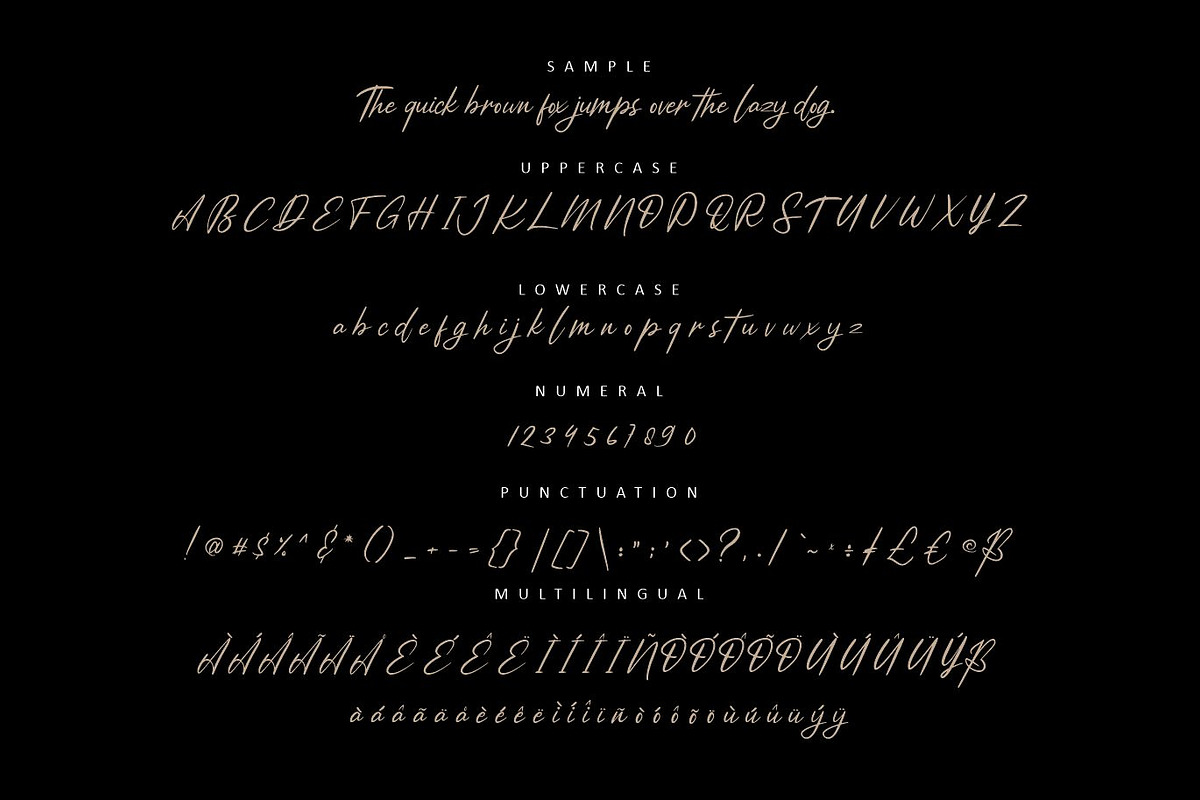 Amstardam | Modern Script Font, a Script Font by Banyumili Studio (Photo 6 of 6)