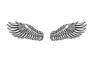 Wings sketch. Stylized birds, an Object Illustration by Things for designers