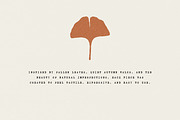Autumn Foliage: 100 Leaves Pack, an Object Illustration by Veyla (Thumbnail 3 of 15)