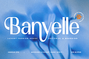 Banyelle Modern Elegant Sans Font, a Sans Serif Font by Vadovastd (Thumbnail 1 of 9)