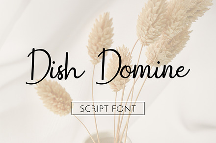 Dish Domine Handwritten Script, a Handwritten Font by UICreative