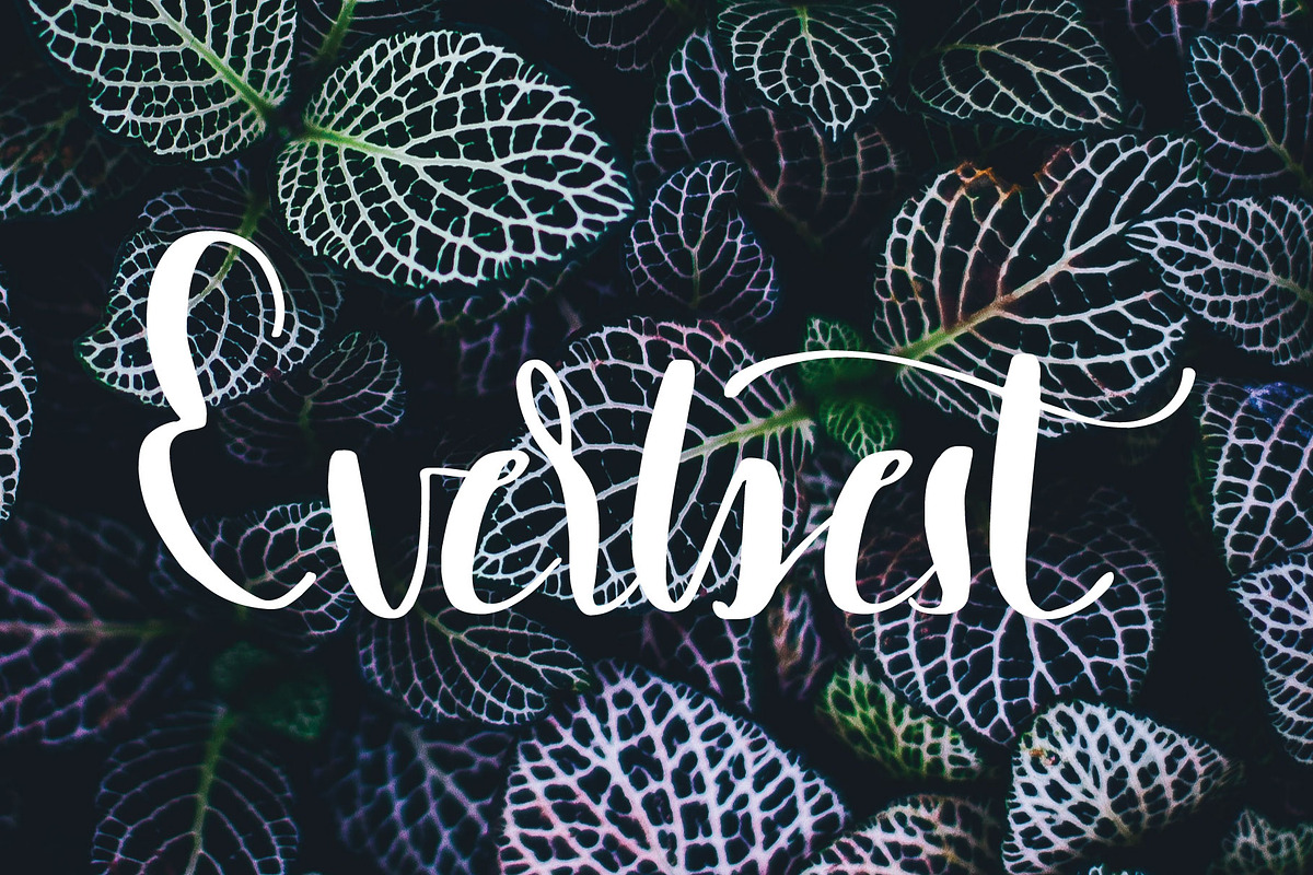 Darling font preview 3