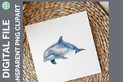 Dolphin Illustration Bundle, 22 PNG, an Animal Illustration by Enliven Designs (Thumbnail 8 of 8)