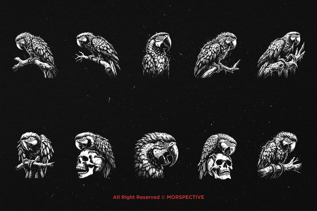 10 Bundle Dark Art Macaw Bird Parrot, an Illustration by Morspective (Photo 6 of 7)