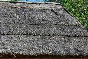Traditional thatched roof made from natural straw or reed. Rusti, an Architecture Photo by ndanko