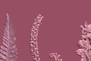 Rose Quartz Pressed Botanical PNG, an Object Graphic by Custom Scene (Thumbnail 4 of 8)
