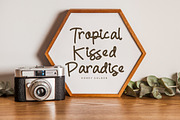 Goldyaks, a Script Font by Integritype Studio (Thumbnail 13 of 15)
