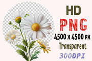 Watercolor daisy bouquets clipart, a Decorative Illustration by ARTify Illustrations (Thumbnail 3 of 3)