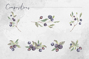 Forest huckleberry berries, a Food Illustration by MsFlaffy (Thumbnail 5 of 11)