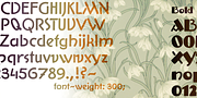 Anatole France, a Font by ingoFonts (Thumbnail 3 of 10)
