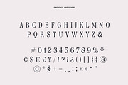 Rocksane Display, a Serif Font by Andrey Sharonov (Thumbnail 14 of 18)