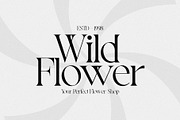Pavilion - Elegant Display Serif, a Serif Font by spectertype (Thumbnail 8 of 11)