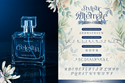 Westina, a Serif Font by Burntilldead (Thumbnail 6 of 12)
