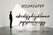 AIRFI - Signature Luxury Handwriten, a Handwritten Font by HypeWorksCo (Thumbnail 13 of 13)