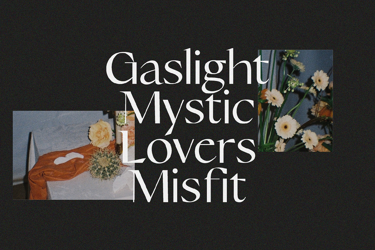 Champagne Cartel, a Serif Font by Tropical Type (Photo 6 of 18)