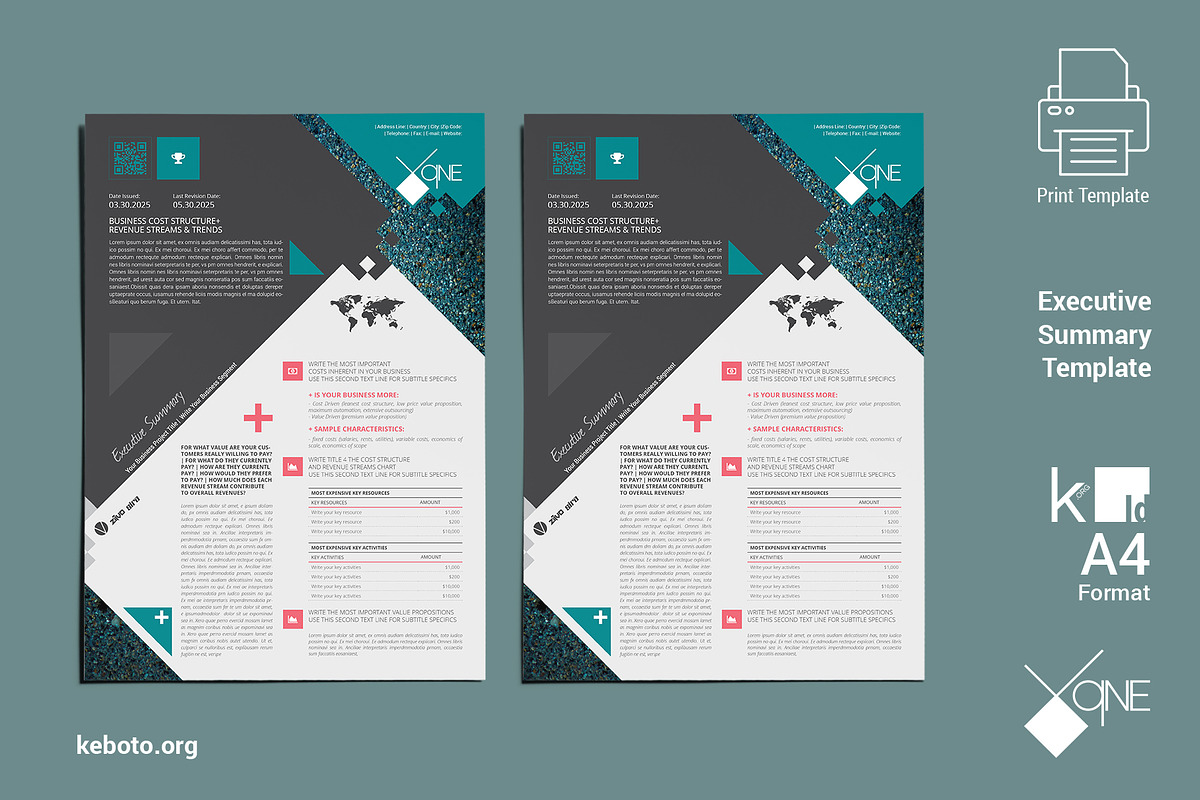XaNE Executive Summary Template, a Print Template by Keboto