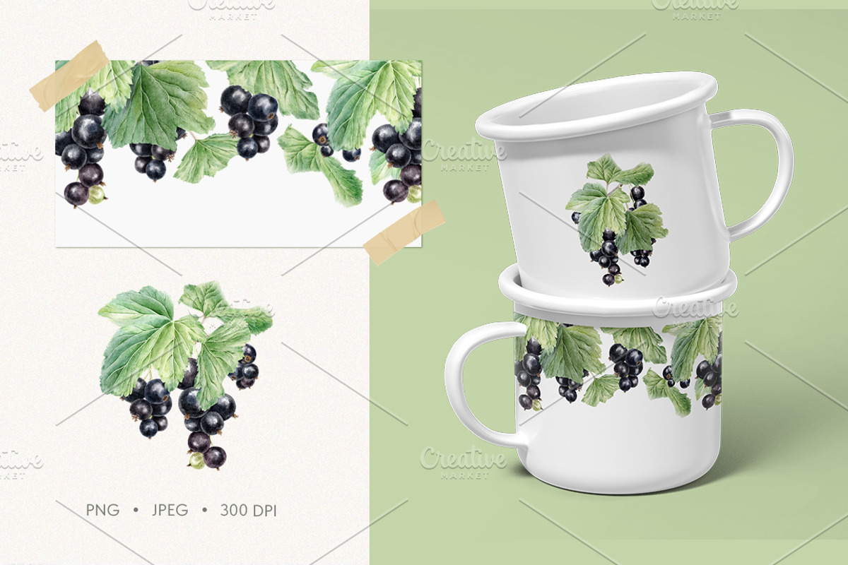 Black currant berry watercolor, a Food Illustration by Fedulova Art (Photo 3 of 10)