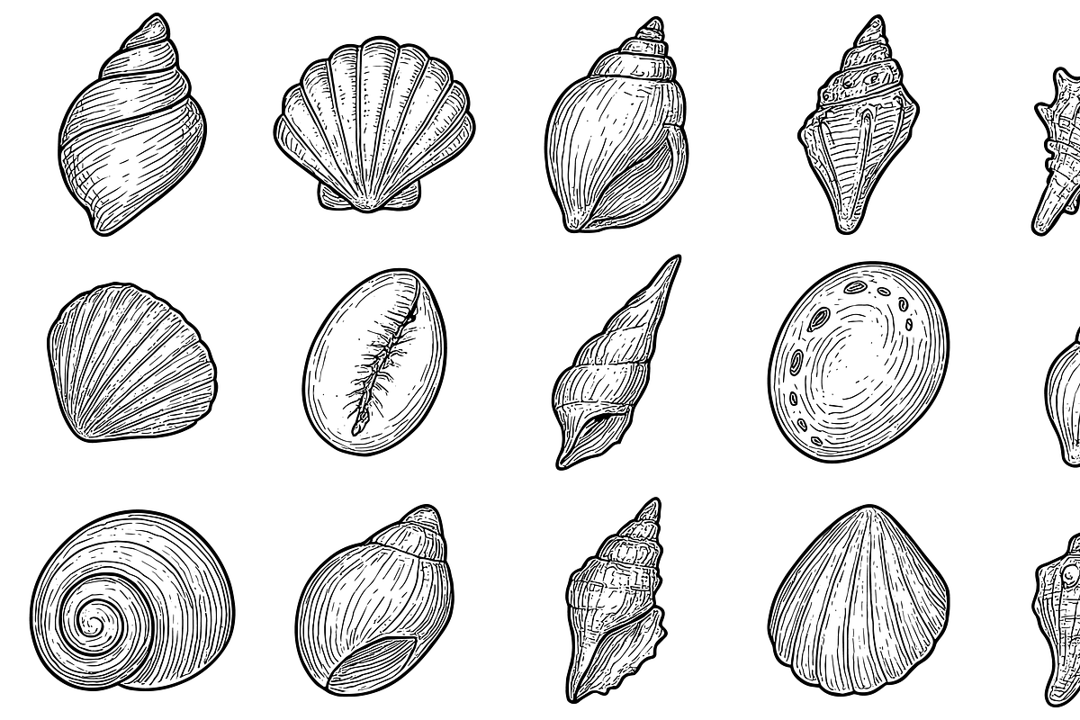 HandDrawn Seashells Icon Collection, an Illustration by Sempu