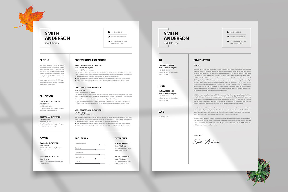 Professional Resume Template Layout preview 2