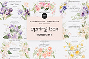 SPRING BOX Watercolor Bundle 400+, a Decorative Illustration by Muse Artist (Thumbnail 1 of 99)