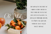 Classy Brune Sans Serif  Typeface, a Sans Serif Font by Typetemp Studio (Thumbnail 13 of 21)