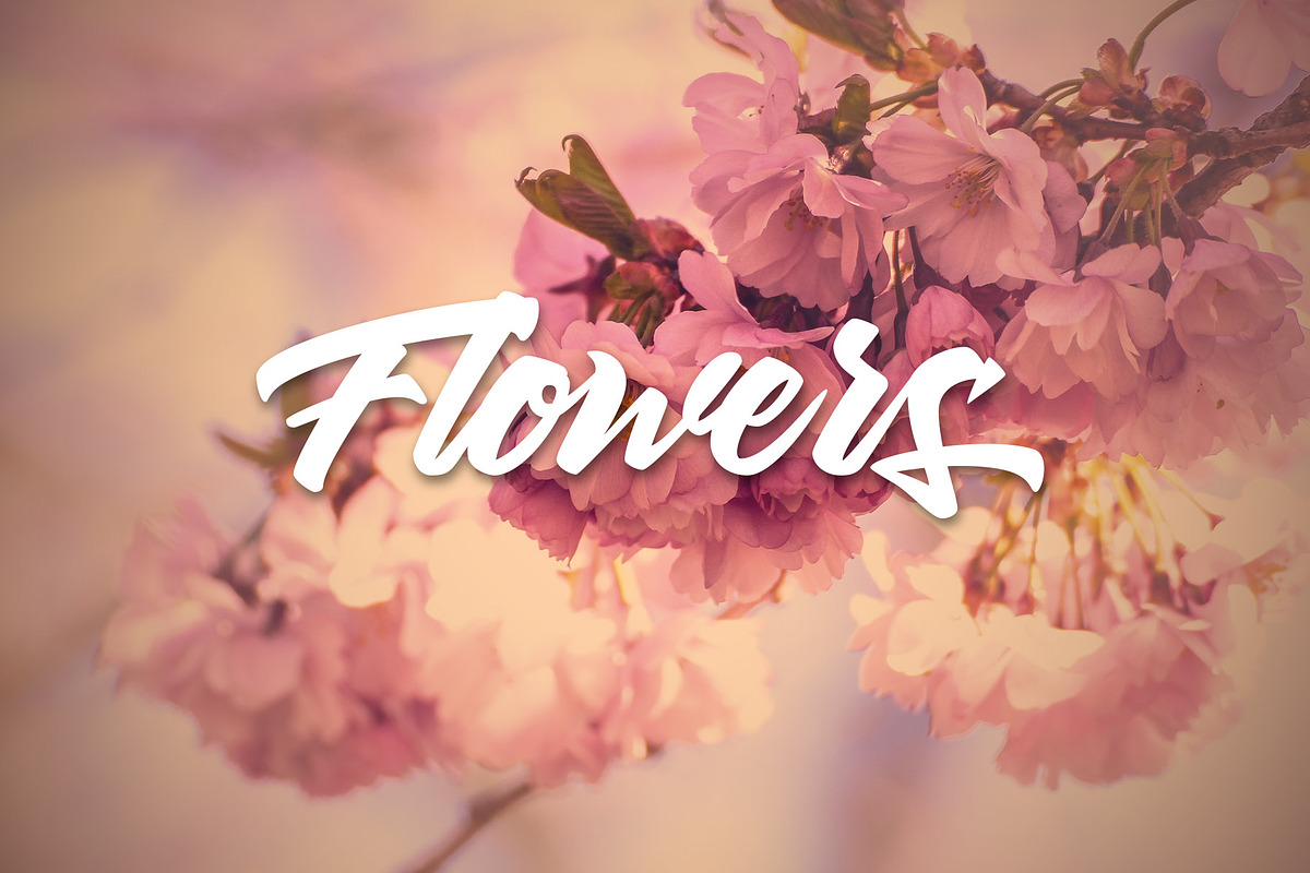 Thirthy, a Script Font by SusiType (Photo 9 of 11)