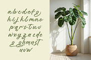 Brighten Shootters Modern Script, a Script Font by Letterena Studios Script (Thumbnail 12 of 20)