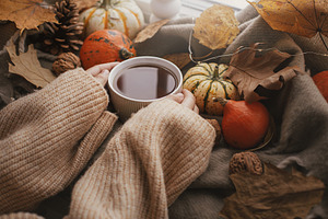 Autumn hygge. Hands in cozy sweater holding warm cup of tea with, a Holiday Photo by Sonjachni