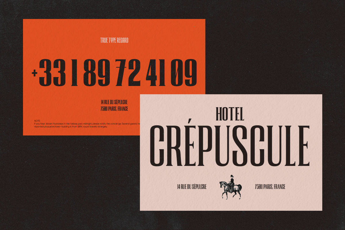 TRT Regard Condensed Display Font, a Serif Font by truetype (Photo 14 of 15)