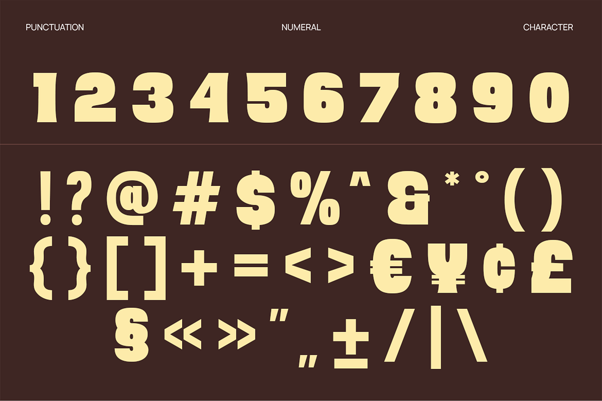 Kyuri - Bold Display Font, a Sans Serif Font by Pekotype (Photo 4 of 15)