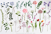 English Garden Watercolour florals, a Decorative Illustration by Katy Clemmans (Thumbnail 3 of 13)