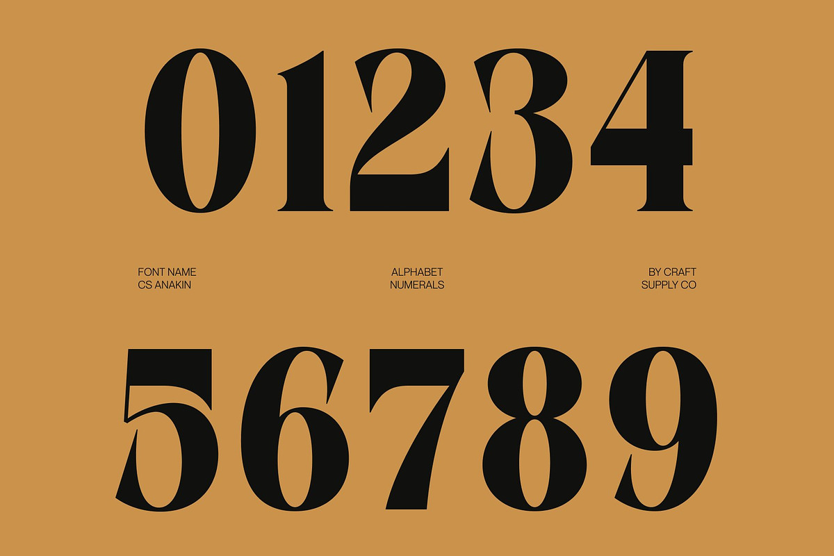 CS Anakin, a Serif Font by Craft Supply Co. (Photo 6 of 8)