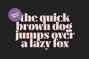 Sobotia - Playful Serif Family