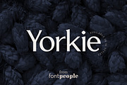 Yorkie font family by Fontpeople, a Sans Serif Font by FontPeople (Thumbnail 1 of 6)