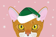 Christmas 9x Cat Breeds, an Animal Illustration by asantosg (Thumbnail 3 of 10)