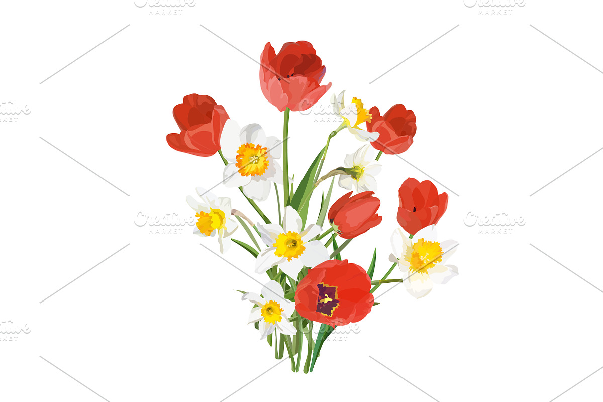 Vector object brushes. Daffodils, a Brush Add-On by Peolla (Photo 9 of 11)