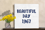 Back To House - Vintage Font, a Serif Font by Fourteen Letter (Thumbnail 6 of 8)