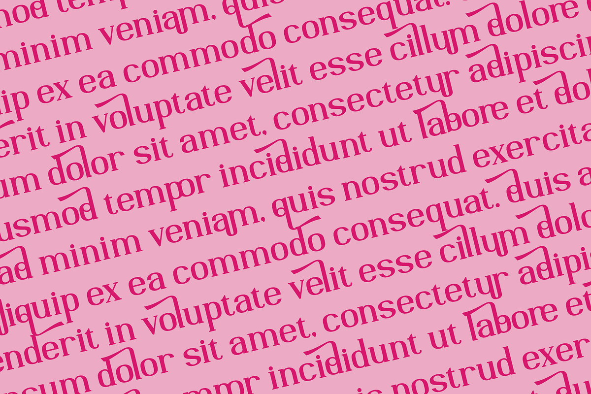Arezandra, a Serif Font by Rishsketch (Photo 10 of 15)
