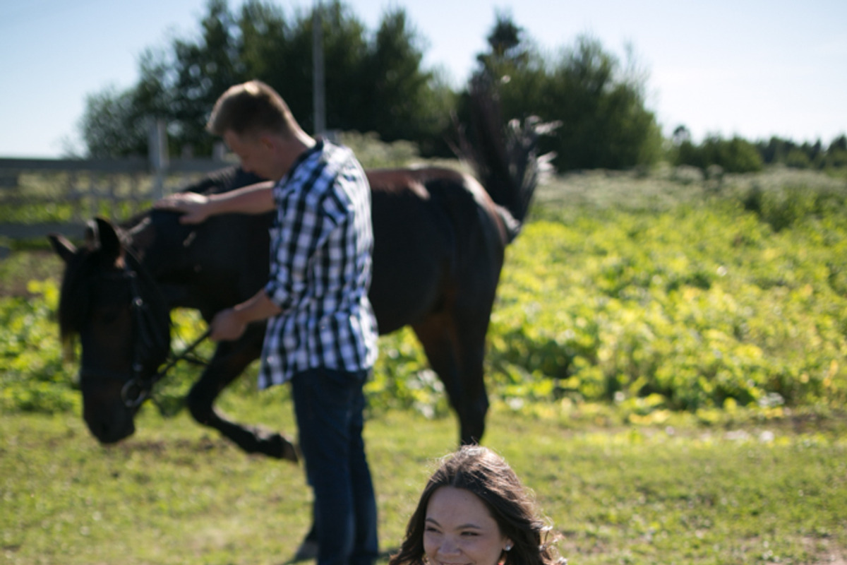 Sunny Farm- 7 Lr presets, an Action Add-On by Graphics, Presets, Photos (Photo 14 of 15)