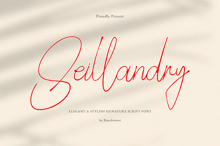 Seillandry Modern Elegant Signature
