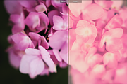 Dream World Lightroom Presets preview 6