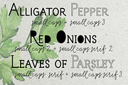 50% OFF Salt & Spices Mono, a Script Font by Fontforecast (Thumbnail 5 of 13)